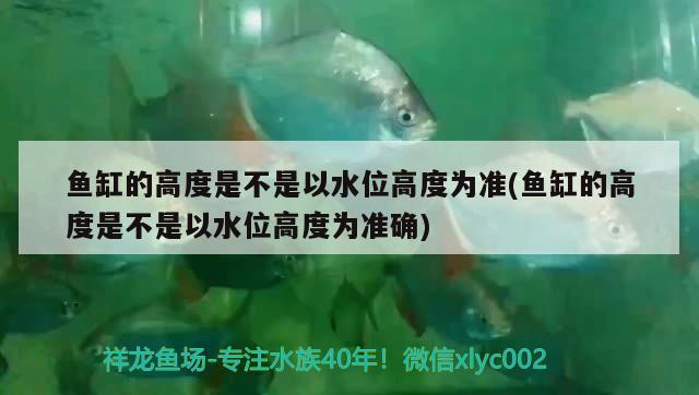 魚缸的高度是不是以水位高度為準(zhǔn)(魚缸的高度是不是以水位高度為準(zhǔn)確) 祥龍水族護(hù)理水