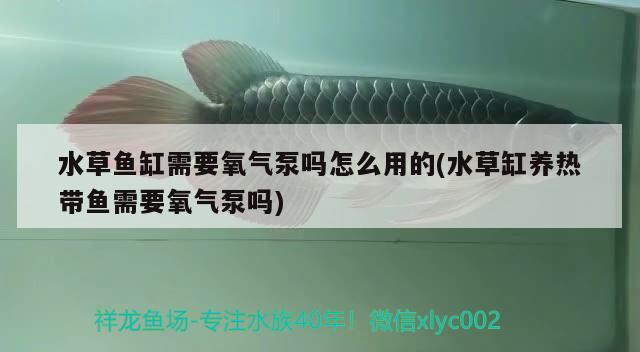 湖南生態(tài)魚缸哪家做的質(zhì)量靠譜，請問長沙哪里有水族箱買