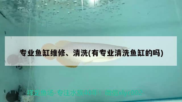 專業(yè)魚缸維修、清洗(有專業(yè)清洗魚缸的嗎)