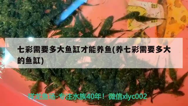 錦州水族館（錦州水族館哪里有） 魚缸水泵 第2張