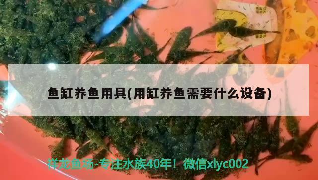 西寧二手魚缸回收電話號碼多少（ 西寧二手魚缸低價出售） 觀賞魚水族批發(fā)市場