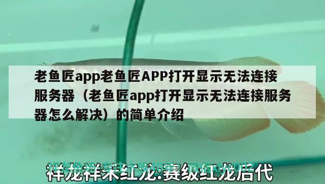 老魚匠app老魚匠APP打開顯示無(wú)法連接服務(wù)器（老魚匠app打開顯示無(wú)法連接服務(wù)器怎么解決）的簡(jiǎn)單介紹 老魚匠