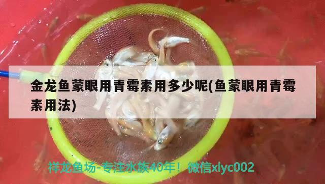 金龍魚蒙眼用青霉素用多少呢(魚蒙眼用青霉素用法)