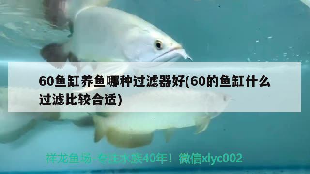 60魚(yú)缸養(yǎng)魚(yú)哪種過(guò)濾器好(60的魚(yú)缸什么過(guò)濾比較合適) 潛水泵