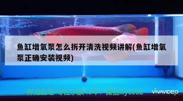 魚缸增氧泵怎么拆開清洗視頻講解(魚缸增氧泵正確安裝視頻) 魚缸凈水劑 第2張