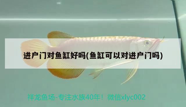 觀景魚缸多久換次水（魚缸魚水多久換一次） 其他品牌魚缸