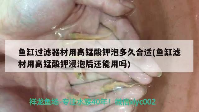 魚缸過濾器材用高錳酸鉀泡多久合適(魚缸濾材用高錳酸鉀浸泡后還能用嗎) 定時(shí)器/自控系統(tǒng)