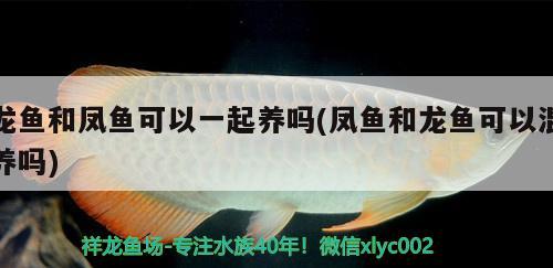 仟魚氧氣泵怎么樣（仟魚氧氣泵說明書） 廣州龍魚批發(fā)市場 第1張