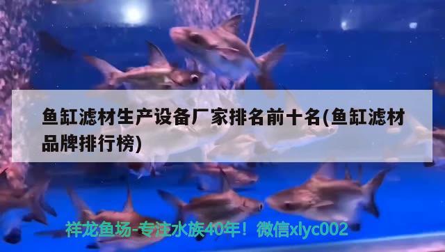 魚缸濾材生產(chǎn)設(shè)備廠家排名前十名(魚缸濾材品牌排行榜) 紅白錦鯉魚