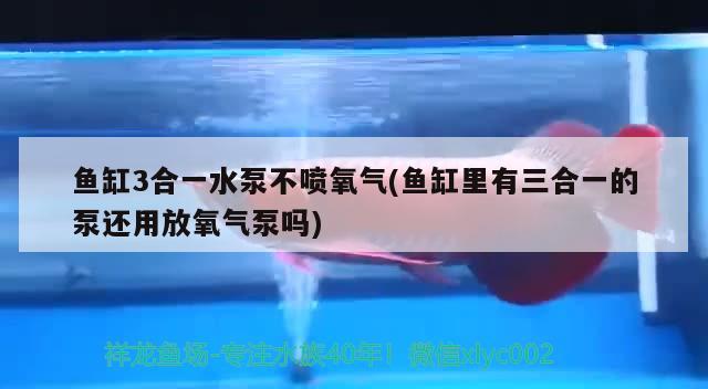 魚缸3合一水泵不噴氧氣(魚缸里有三合一的泵還用放氧氣泵嗎)