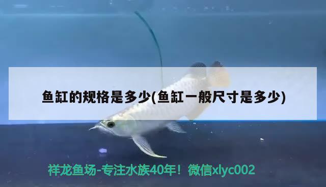 品牌魚缸好還是定制魚缸好用：品牌魚缸好還是定制魚缸好用呢 水族維護(hù)服務(wù)（上門） 第3張