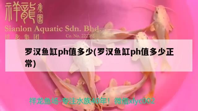 創(chuàng)寧變頻水泵新款老款有什么區(qū)別呢（創(chuàng)寧變頻水泵新款老款有什么區(qū)別呢） 觀賞魚百科 第3張