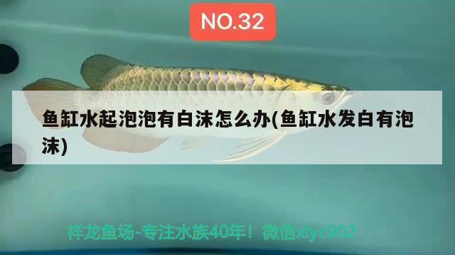 金龍魚油生產(chǎn)地在哪里(金龍魚油生產(chǎn)地在哪里啊) 孵化器