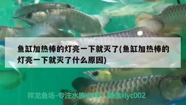 魚缸拆了重新粘里面有沒有必要補(bǔ)一層膠(魚缸拆了重新粘里面有沒有必要補(bǔ)一層膠布)