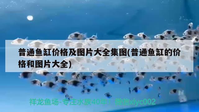 誰知道魚缸內(nèi)置式過濾器安裝方法，求大神解答魚缸外置過濾器怎么安裝 養(yǎng)魚的好處 第3張