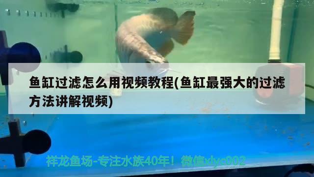 魚缸過濾怎么用視頻教程(魚缸最強大的過濾方法講解視頻)