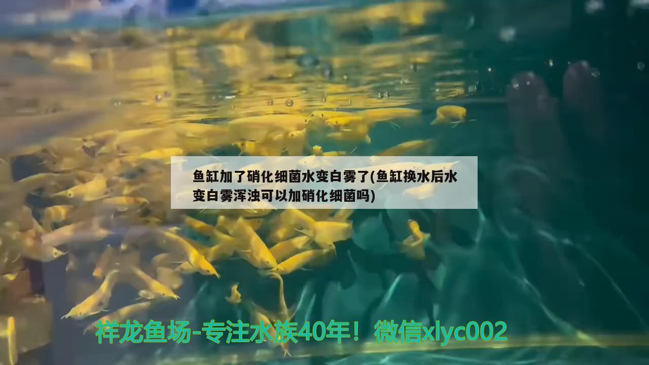 誰知道魚缸內(nèi)置式過濾器安裝方法，求大神解答魚缸外置過濾器怎么安裝