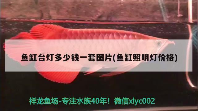 魚(yú)缸臺(tái)燈多少錢(qián)一套圖片(魚(yú)缸照明燈價(jià)格) 白寫(xiě)錦鯉魚(yú)