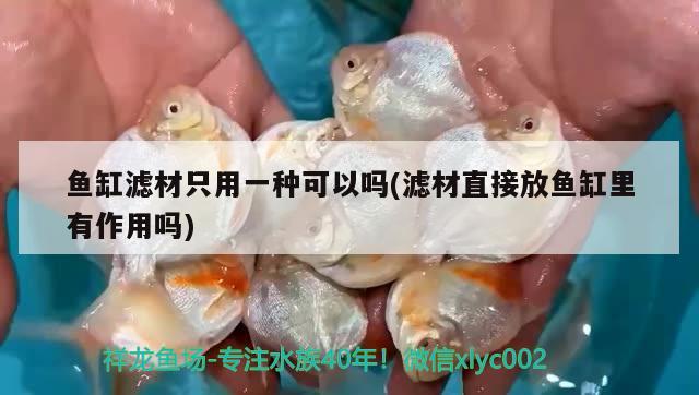 求助 :魚缸里三天就得擦一遍，要不就長綠苔，可咋整，怎樣穿搭能顯得自信