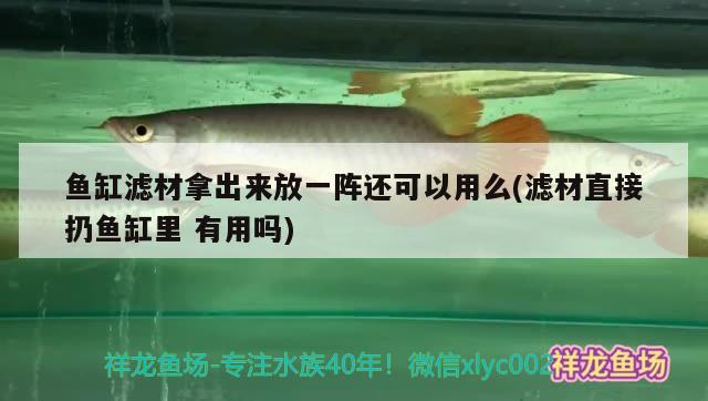 魚(yú)缸濾材拿出來(lái)放一陣還可以用么(濾材直接扔魚(yú)缸里有用嗎)