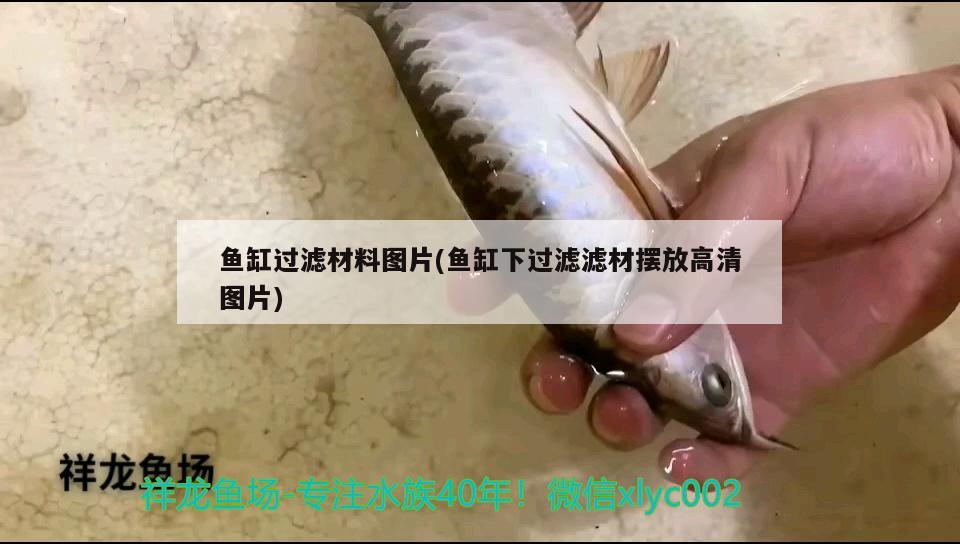 魚缸過濾材料圖片(魚缸下過濾濾材擺放高清圖片) 水族燈（魚缸燈）