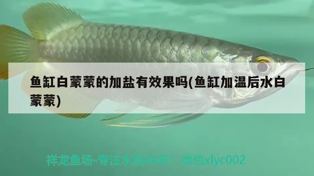 恐龍魚跳缸脫水能存活多久啊(恐龍魚跳缸脫水能存活多久啊視頻) 綠皮皇冠豹魚