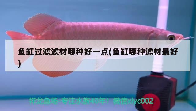 魚缸過濾濾材哪種好一點(魚缸哪種濾材最好) 夢幻雷龍魚