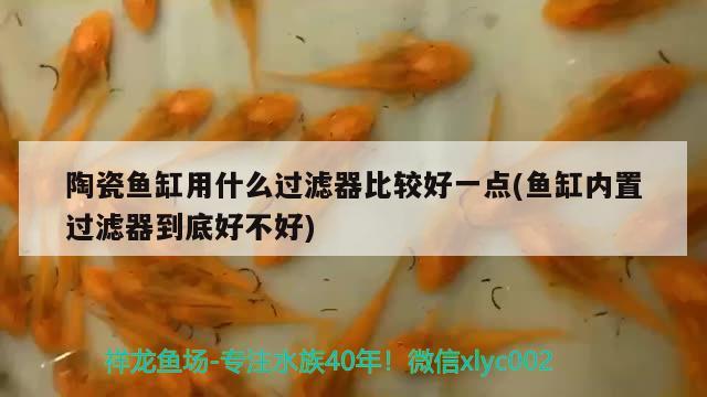 陶瓷魚缸用什么過濾器比較好一點(魚缸內(nèi)置過濾器到底好不好)