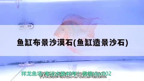 魚缸布景沙漠石(魚缸造景沙石) 狗頭魚 第2張