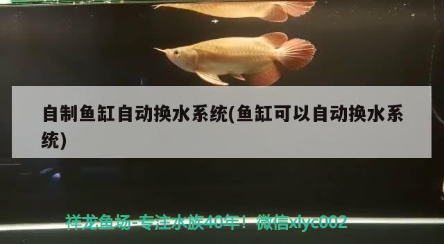 自制魚缸自動(dòng)換水系統(tǒng)(魚缸可以自動(dòng)換水系統(tǒng)) 超血紅龍魚