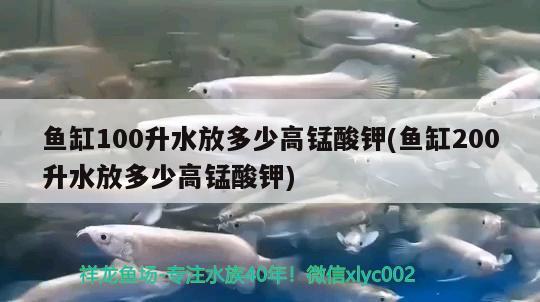 魚(yú)缸100升水放多少高錳酸鉀(魚(yú)缸200升水放多少高錳酸鉀) 雙線(xiàn)側(cè)魚(yú)