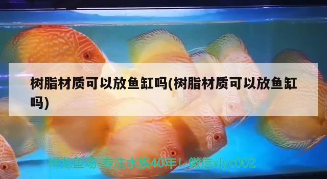 樹脂材質(zhì)可以放魚缸嗎(樹脂材質(zhì)可以放魚缸嗎) 埃及神仙魚