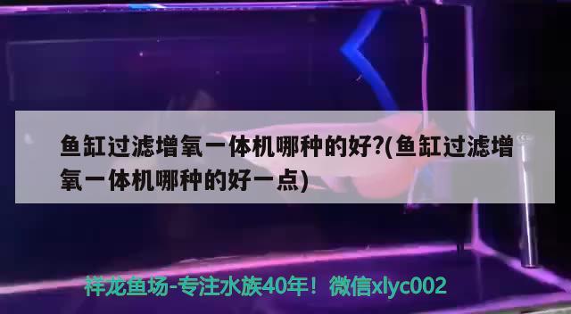 魚(yú)缸過(guò)濾增氧一體機(jī)哪種的好?(魚(yú)缸過(guò)濾增氧一體機(jī)哪種的好一點(diǎn)) 過(guò)背金龍魚(yú)