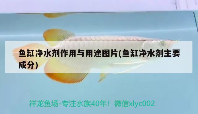 魚缸凈水劑作用與用途圖片(魚缸凈水劑主要成分)