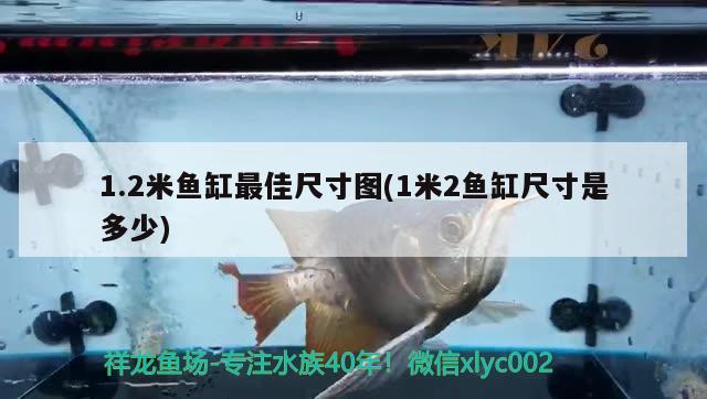 1.2米魚缸最佳尺寸圖(1米2魚缸尺寸是多少) 水溫計