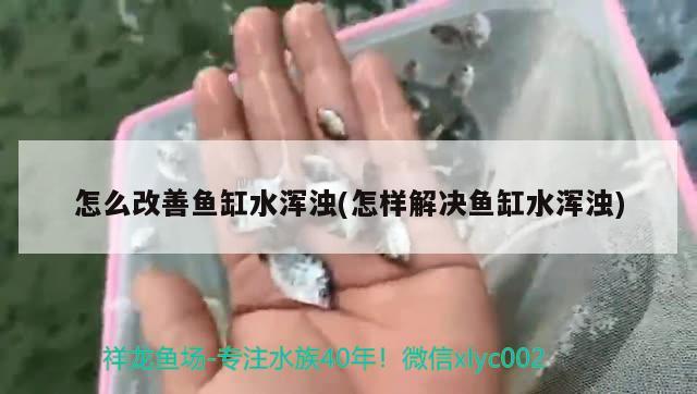 怎么改善魚缸水渾濁(怎樣解決魚缸水渾濁) 龍魚芯片掃碼器