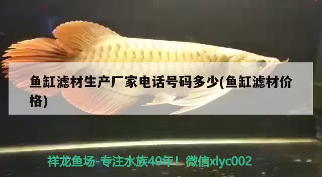 魚缸濾材生產(chǎn)廠家電話號(hào)碼多少(魚缸濾材價(jià)格) 黑白雙星魚