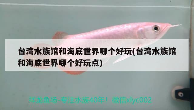 貓咪吃魚會不會被魚刺卡?。贺堖涑贼~會不會卡到刺 貓貓 第3張