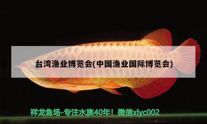 龍魚會寄生鐵線蟲嗎？如果寄生了怎么辦？ 紅眼黃化幽靈火箭魚|皇家火箭魚 第1張