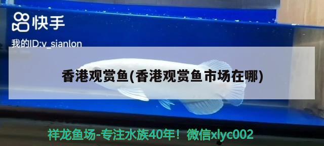 魚缸打氧泵怎么清洗(魚打氧泵怎么用)