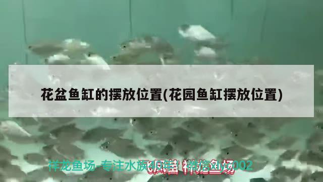 池州水族館大家的缸里都搭配了什么濾材？ 觀賞魚飼料 第2張