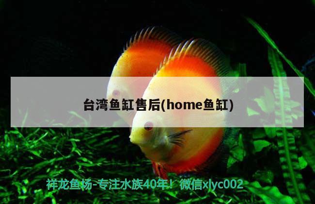 臺灣魚缸售后(home魚缸)