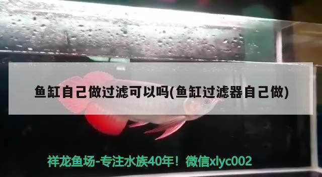 海缸為什么用藍色燈，魚缸燈光顏色正確使用方法