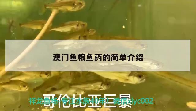 魚缸檢疫用什么藥(海魚檢疫缸用什么藥)