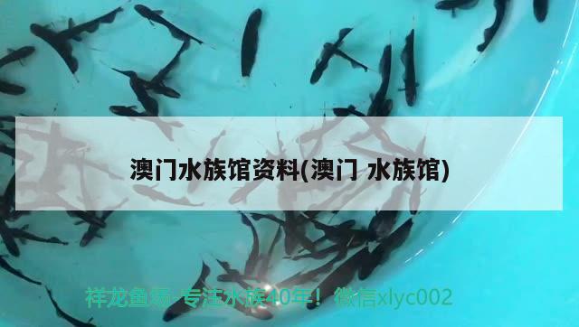 魚缸照明燈什么樣的好(魚缸照明燈具及價格led燈片) 紅龍專用魚糧飼料 第1張