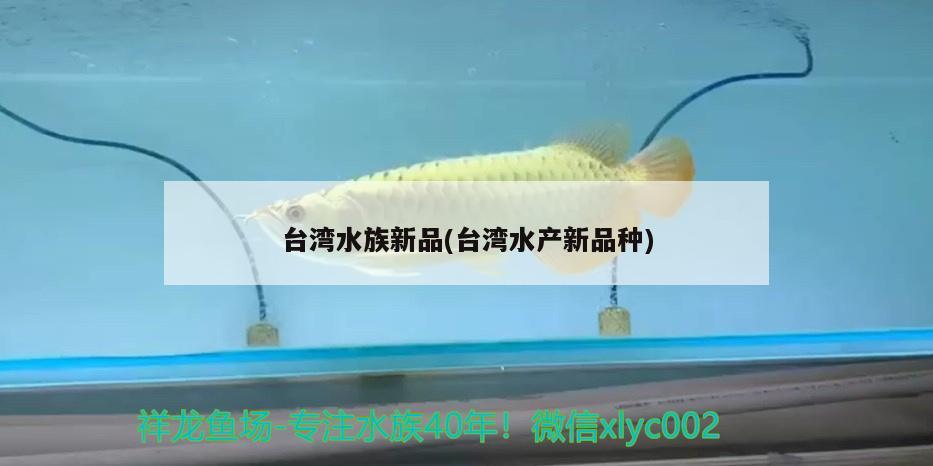 銀龍魚為什么互相咬嘴巴（銀龍魚咬其他魚）