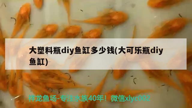 阿里水族館小虎魚終于亮了 虎魚百科 第3張