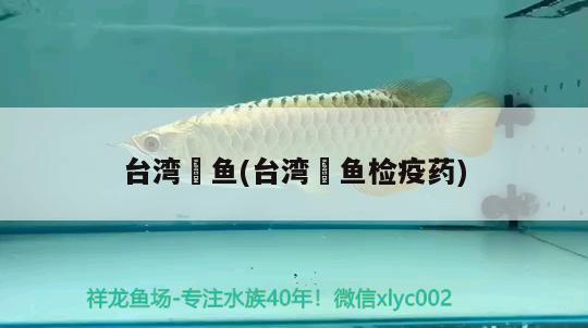 臺(tái)灣魟魚(yú)(臺(tái)灣魟魚(yú)檢疫藥) 廣州祥龍國(guó)際水族貿(mào)易