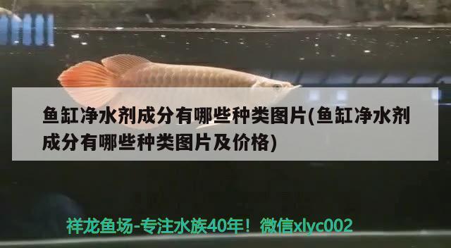 魚缸凈水劑成分有哪些種類圖片(魚缸凈水劑成分有哪些種類圖片及價(jià)格) 祥龍水族濾材/器材