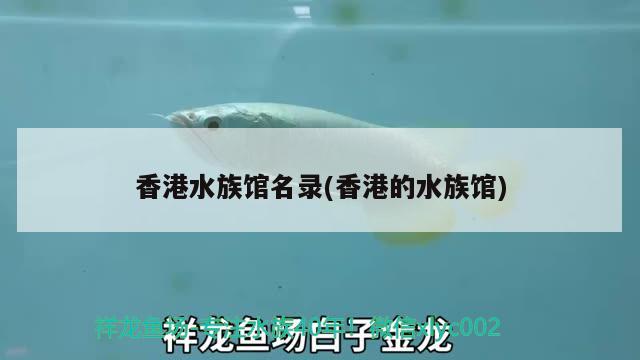 臺灣水族館值得去嗎(臺山水族館) 廣州祥龍國際水族貿(mào)易